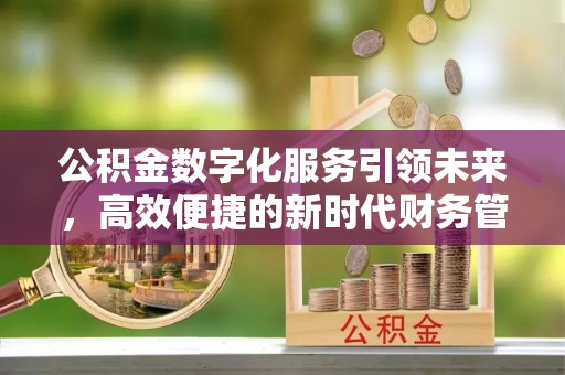 大鹏新区公积金数字化服务引领未来，高效便捷的新时代财务管理