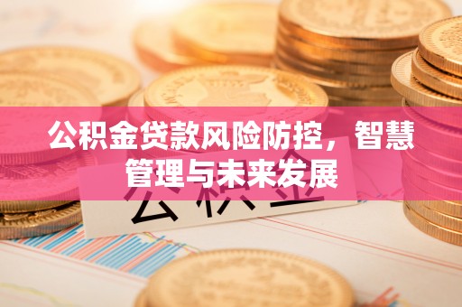 大鹏新区公积金贷款风险防控，智慧管理与未来发展