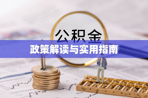 大鹏新区政策解读与实用指南