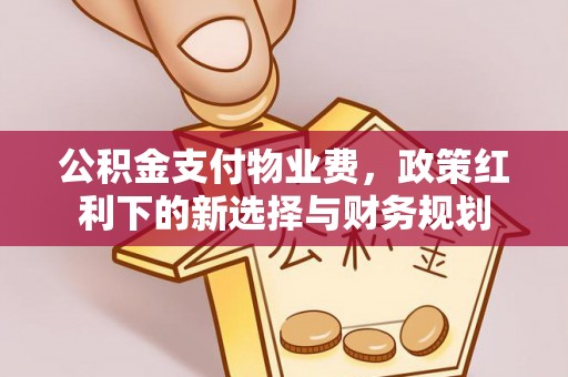 大鹏新区公积金支付物业费，政策红利下的新选择与财务规划