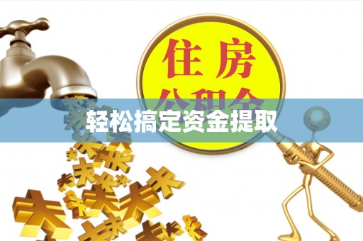 大鹏新区轻松搞定资金提取