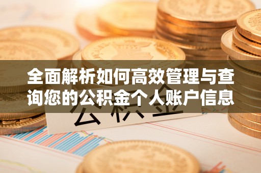 大鹏新区全面解析如何高效管理与查询您的公积金个人账户信息