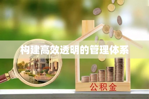 大鹏新区构建高效透明的管理体系