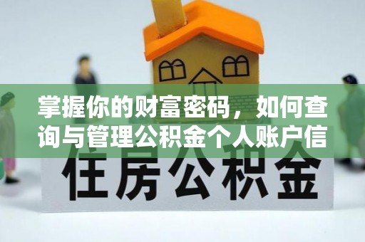 大鹏新区掌握你的财富密码，如何查询与管理公积金个人账户信息