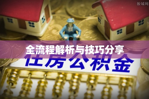 大鹏新区全流程解析与技巧分享